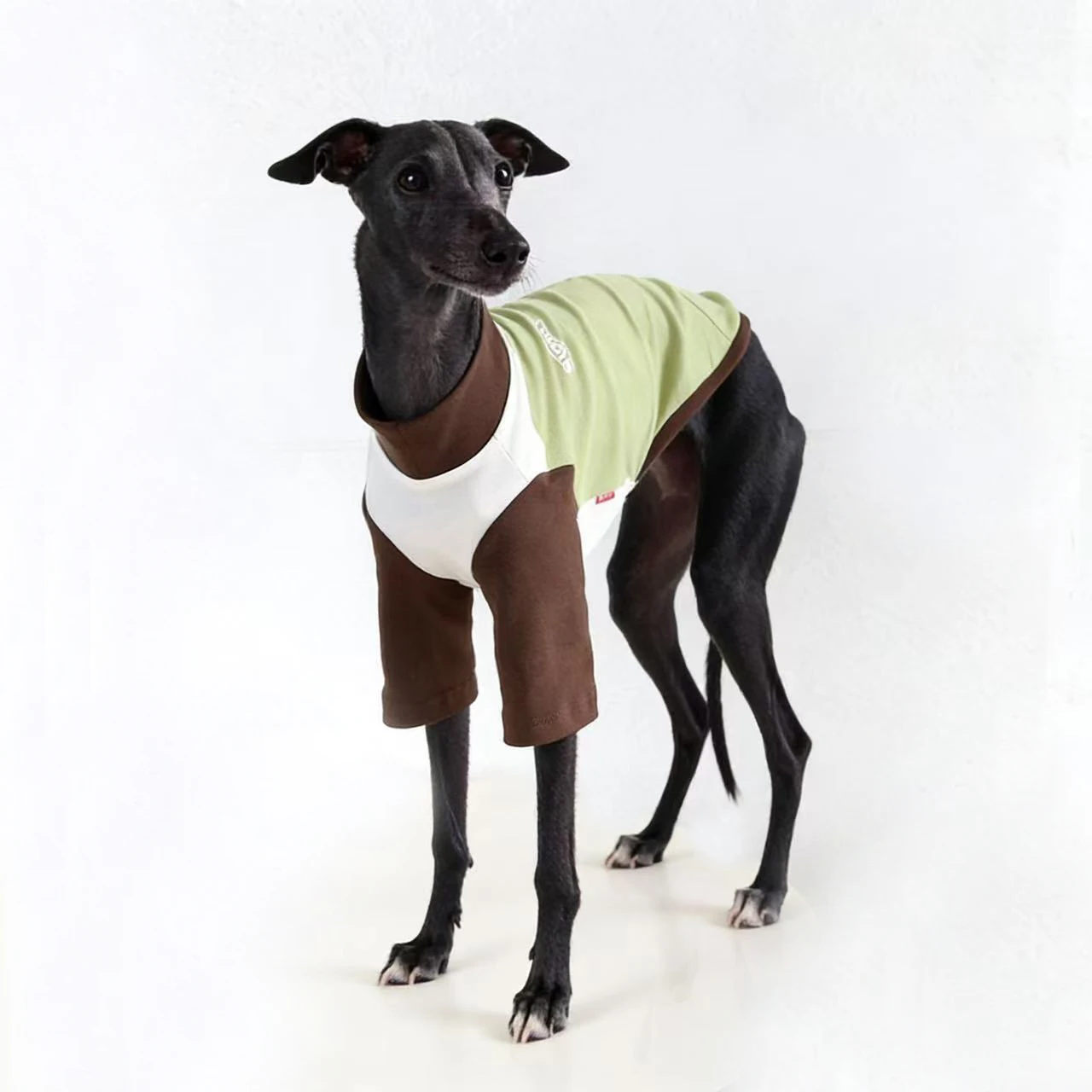 Abrigo de algodón para galgos y whippets – primavera/otoño - imagen 4
