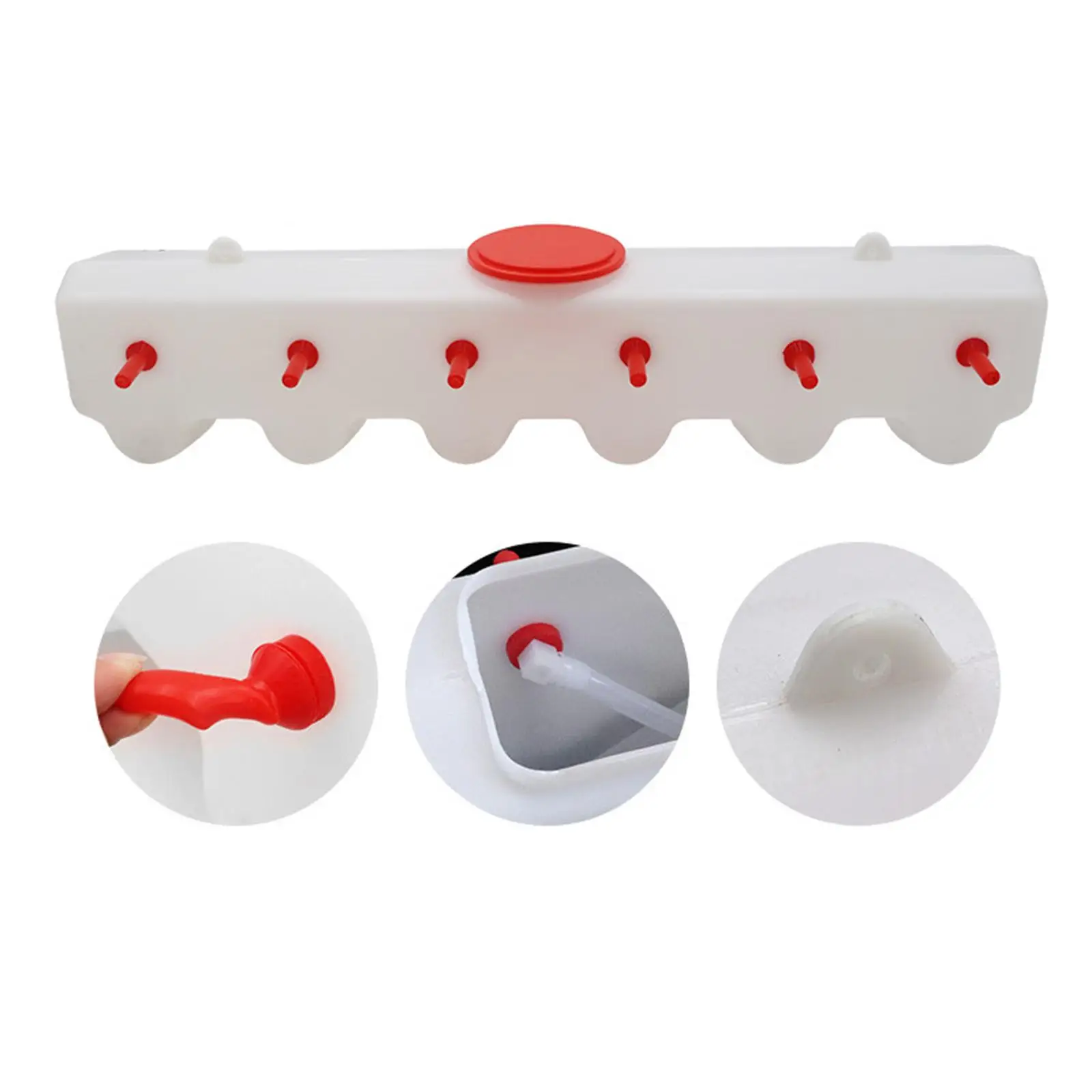 Cubo de alimentación de leche de gran capacidad, alimentador de botellas de leche, ganado - imagen 5