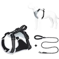 Grey dog harness set