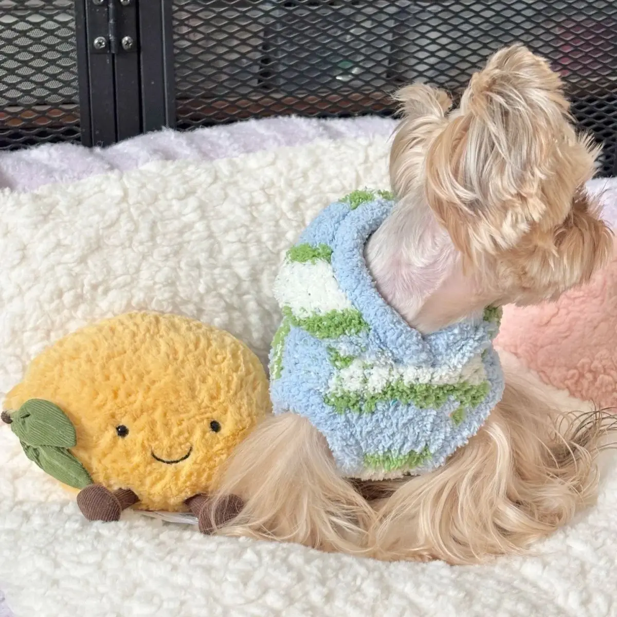 Sudadera con capucha a rayas para mascotas, suéter para gatos, chaleco de invierno, oso de peluche, Yorkshire, ropa para perros pequeños para mascotas, ropa cálida para cachorros - imagen 5