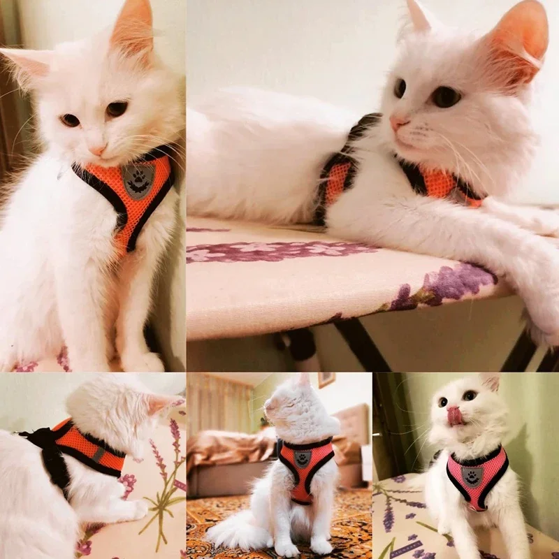 Arnés ajustable tipo chaleco para gatos y perros pequeños - imagen 4