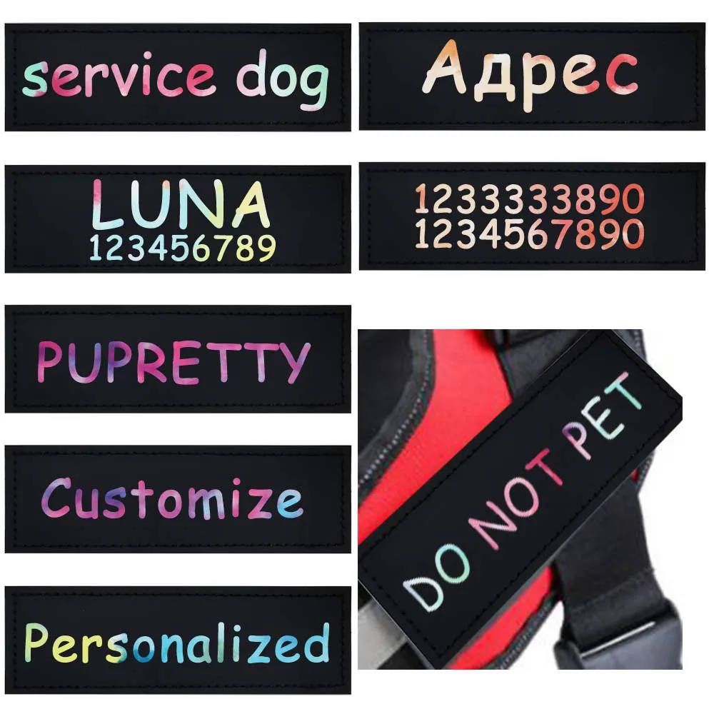 Placas identificativas con nombre para collar de perro - 2 uds.