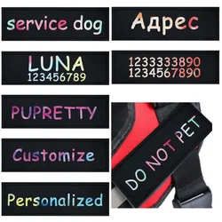 Placas identificativas con nombre para collar de perro - 2 uds.
