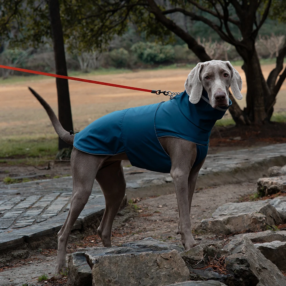 Ropa impermeable reflectante para mascotas, chaqueta de cuello alto para perros medianos, chubasquero impermeable para perros labradores