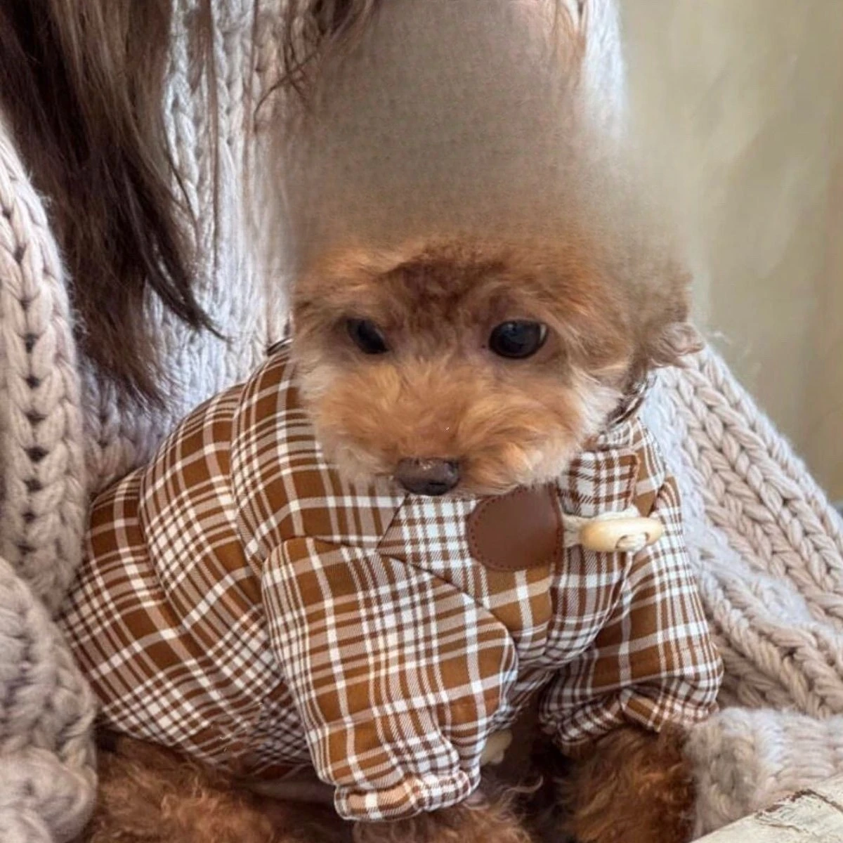 Chaleco cálido a cuadros para perros y gatos, ropa para mascotas de otoño e invierno para perros pequeños (schnauzer/teddy), abrigo bonito para cachorros