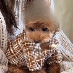 Chaleco cálido a cuadros para perros y gatos, ropa para mascotas de otoño e invierno para perros pequeños (schnauzer/teddy), abrigo bonito para cachorros