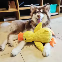 Juguete dental de pato para perros grandes - peluche interactivo