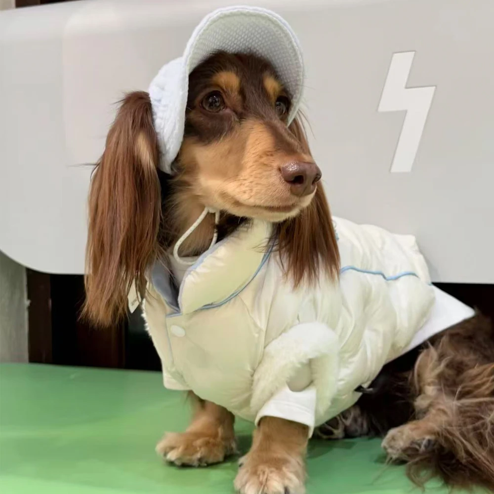 Chaqueta cortavientos para perros Dachshund - abrigo de plumón blanco