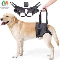 Arnes de elevacion para perros mayores - movilidad y rehabilitacion