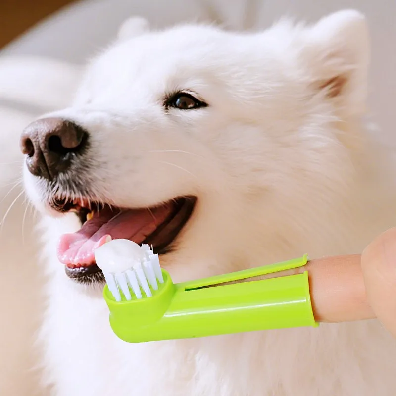 Juego de cepillos de dientes para perros, cepillo de dientes para mascotas, 3 uds., limpieza de dientes para perros, juego de cepillos de dientes para perros, cuidado bucal, cepillo de dientes para gatos, suministros para mascotas - imagen 4