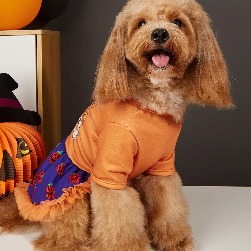 Vestido de Halloween para mascotas con estampado de gnomo, patrones de calabaza y falda de tul, opciones naranja y morado para perros pequeños, fiestas de Halloween - imagen 5