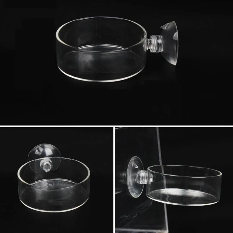Alimentador de peces transparente acrílico con ventosa, platos redondos de comida para acuario, accesorios de alimentación para peces y camarones - imagen 4