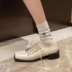 Zapatos retro para perro con plataforma, cordones y puntera cuadrada