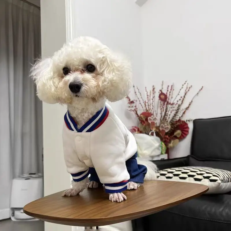 Chaqueta de béisbol de otoño/invierno para mascotas, chaqueta de peluche gruesa de invierno de cuatro patas para perros de tamaño mediano, chaqueta de peluche para perros pequeños - imagen 5