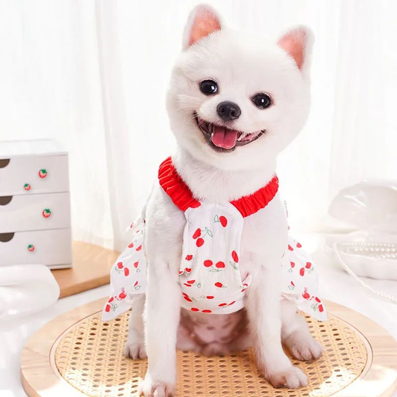 Vestido verano con capucha para perras – Estampado cerezas, Chihuahua y Poodle - imagen 3