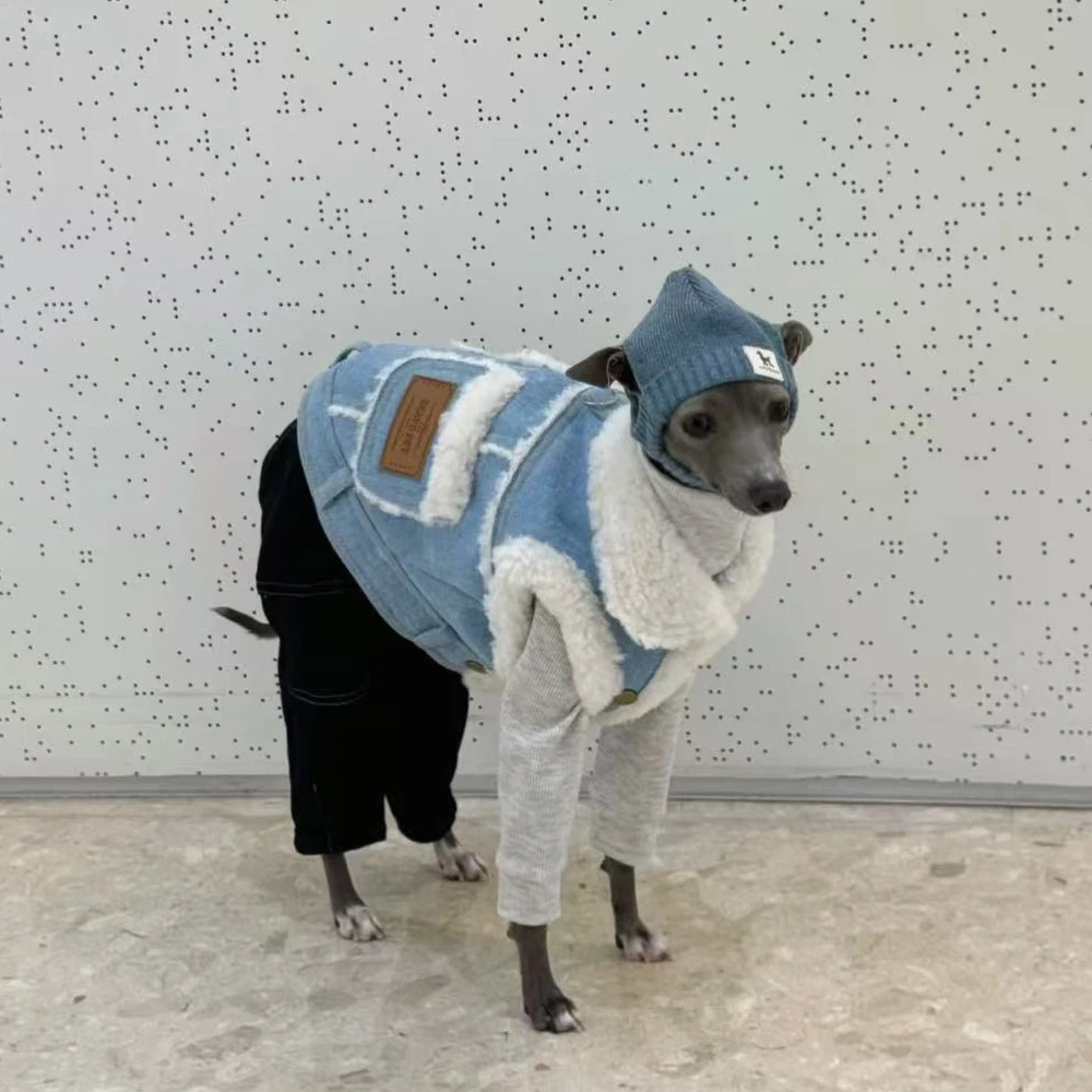 Chaqueta vaquera para Galgo italiano y Whippet – Abrigo invernal - imagen 3