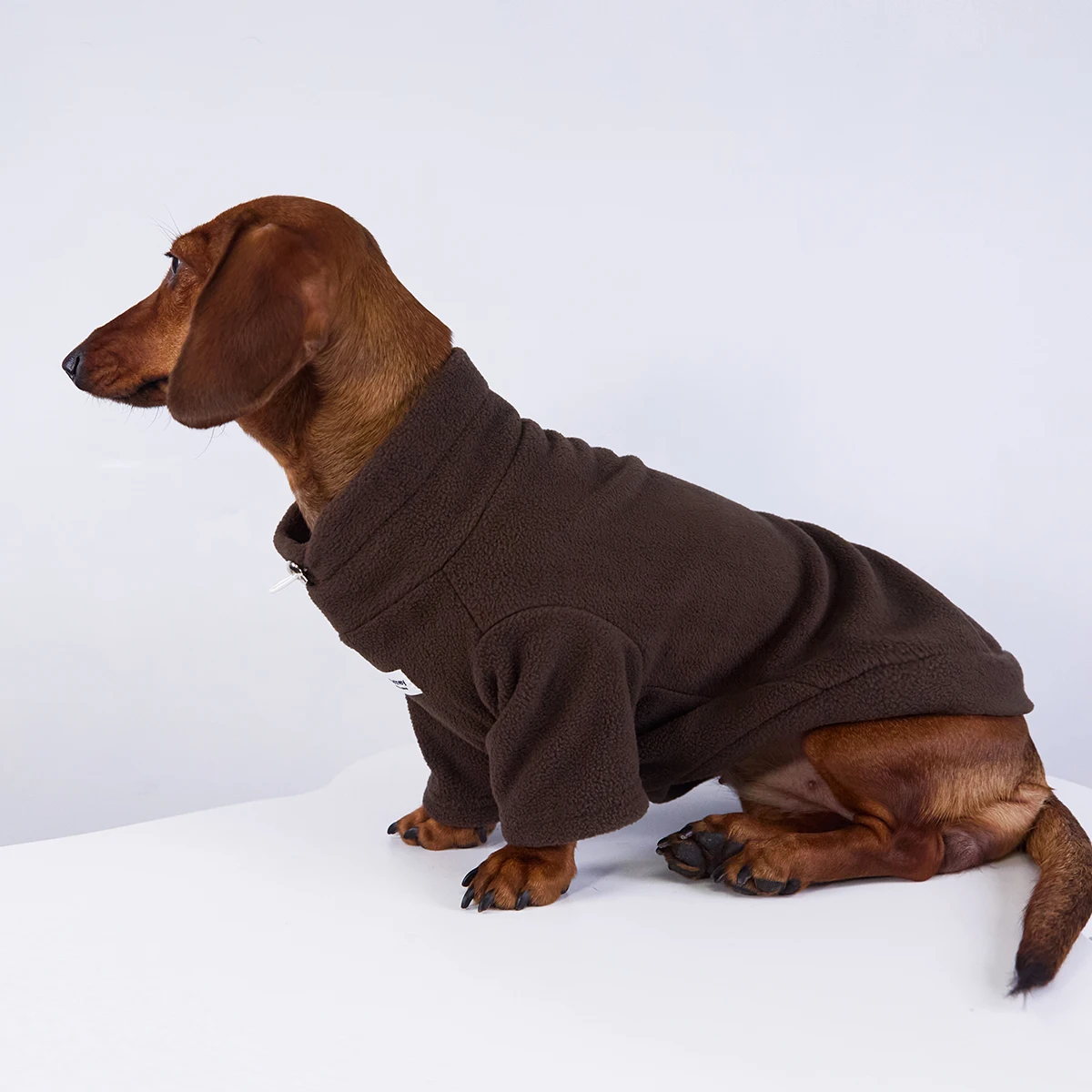 Sudadera de lana cálida de invierno para perros Wiener, ropa de moda suave y gruesa de otoño para perros salchicha, disfraz de 2 patas para perro salchicha - imagen 4