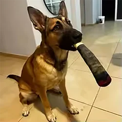 Juguete chirriante para perros de peluche – Interactivo y divertido