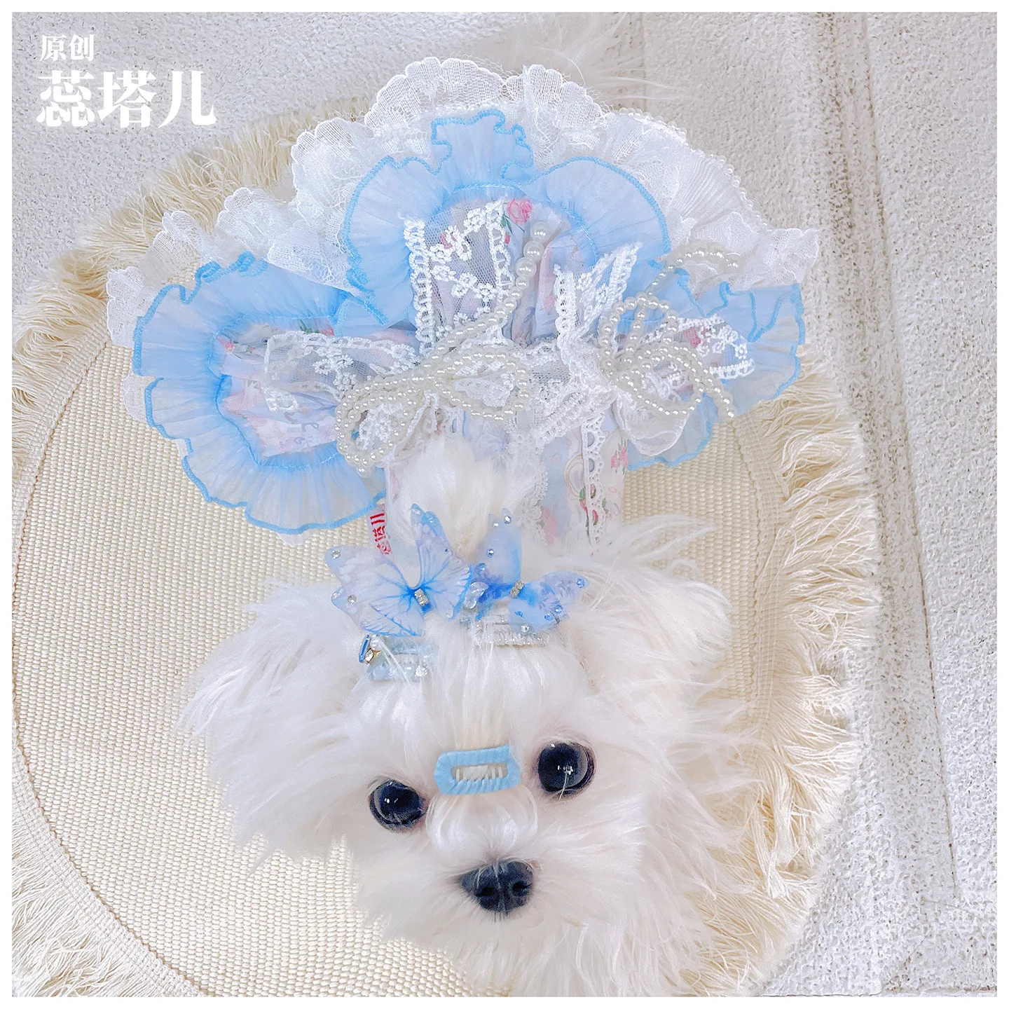 Vestido de lolita para perros: falda abullonada de camisola de encaje con perlas, traje de princesa adecuado para perros pequeños, ropa bonita para mascotas - imagen 4