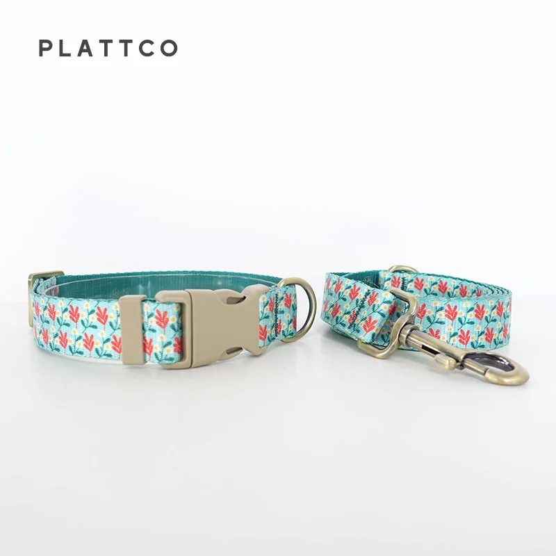 Dog Collar Leash Set