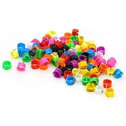 Anillos para patas de palomas con palabras - colores variados