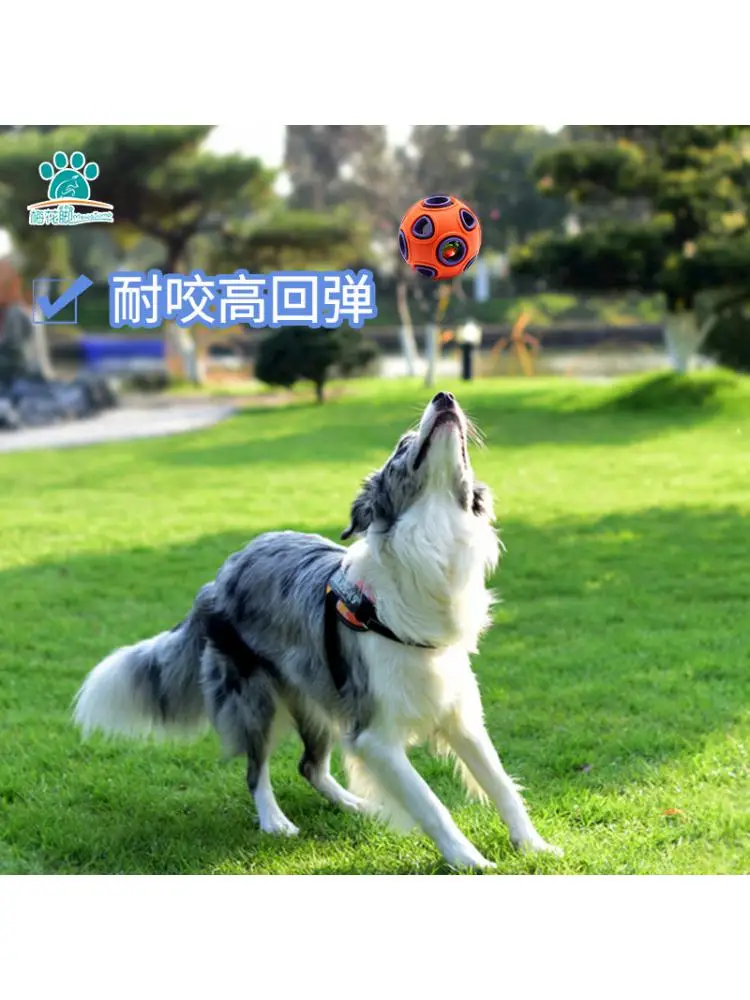 Juguetes Para Mascotas resistentes a las mordeduras, pelota de entrenamiento para perros, Campanilla, vocalización, suministros para mascotas - imagen 2