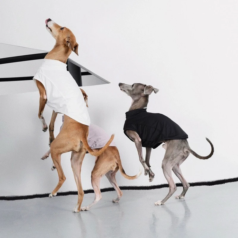 Camiseta negra fresca de verano para perros Whipbit, resistencia a insectos al aire libre, abrigo ligero y transpirable de secado rápido para galgo italiano - imagen 5