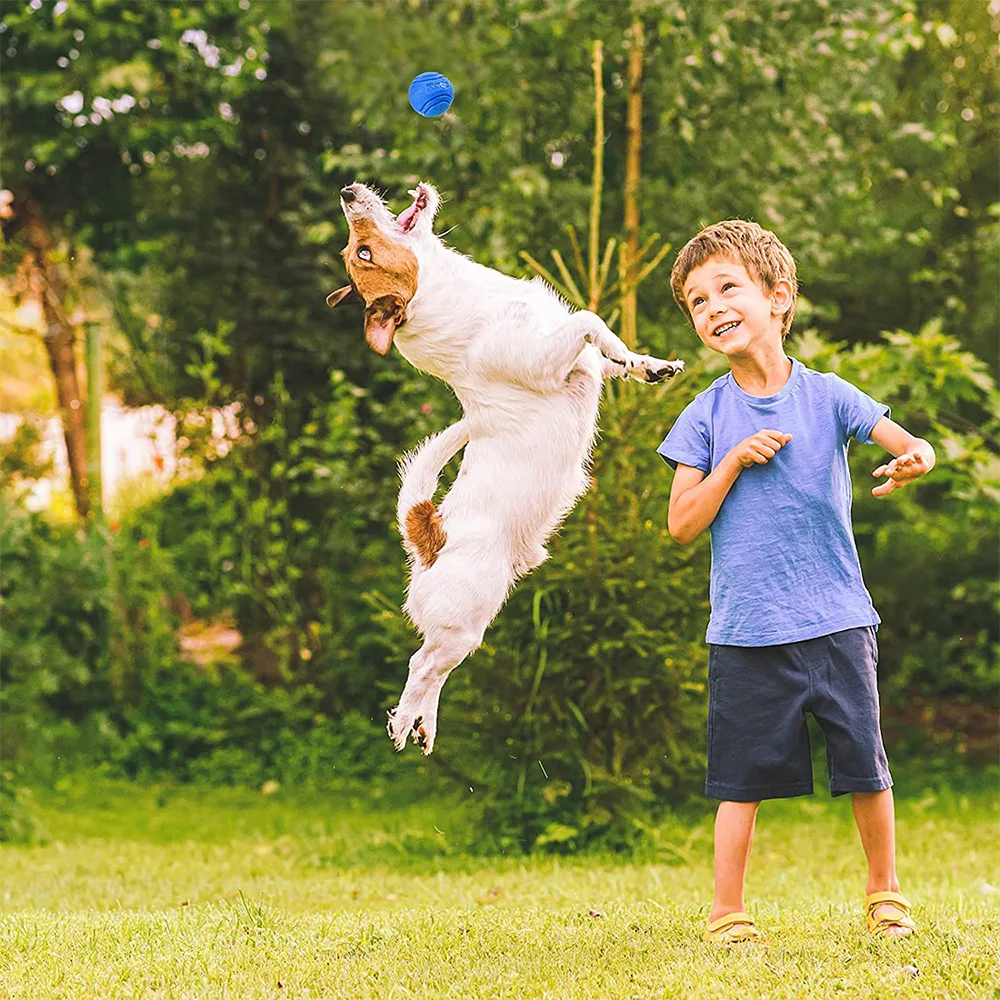 Pelota de goma resistente a mordidas para perros – lanzar y entrenar - imagen 5