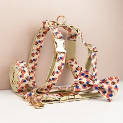 Conjunto collar, arnés y correa para perro – Diseño americano con pajarita