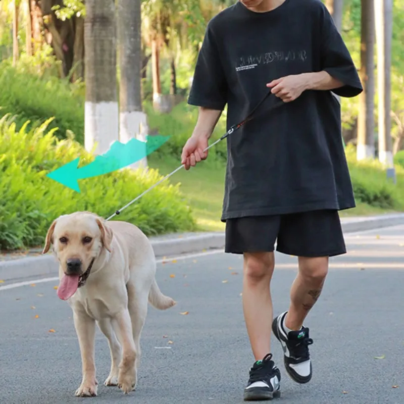 Correa para perro, cadena P, correa de alambre de acero para caminar, correas antimordeduras para perros, cuerda P reflectante, mango cómodo, cadena para perros de 120cm - imagen 3