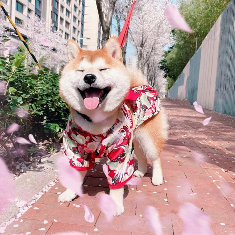 Festival Formal mascota perro traje nacional para perros pequeños medianos estilo japonés cachorro gato ropa Bulldog Francés Shiba Inu Kimono - imagen 4