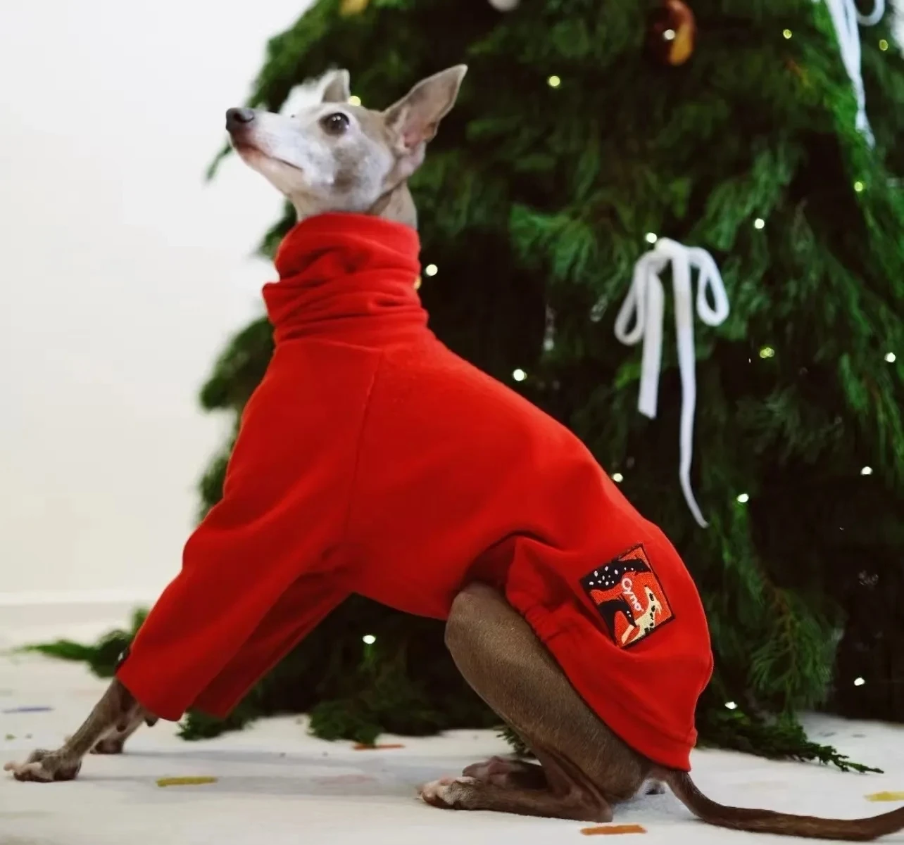 Chaqueta cálida de 2 patas para disfraz de Año Nuevo de galgo italiano para Whippet, sudadera de moda para primavera y otoño para perros pequeños y medianos - imagen 2