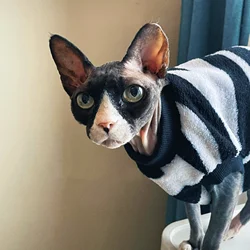 Chaleco de lana para gato Sphynx – Abrigo cálido rayado invierno