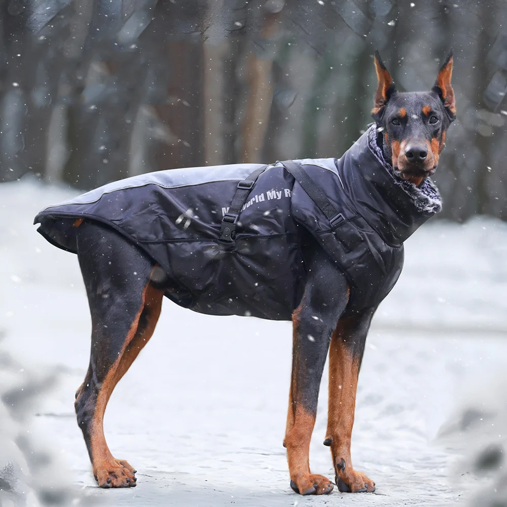 Chaqueta impermeable perro grande arnés reflectante invierno Pitbull