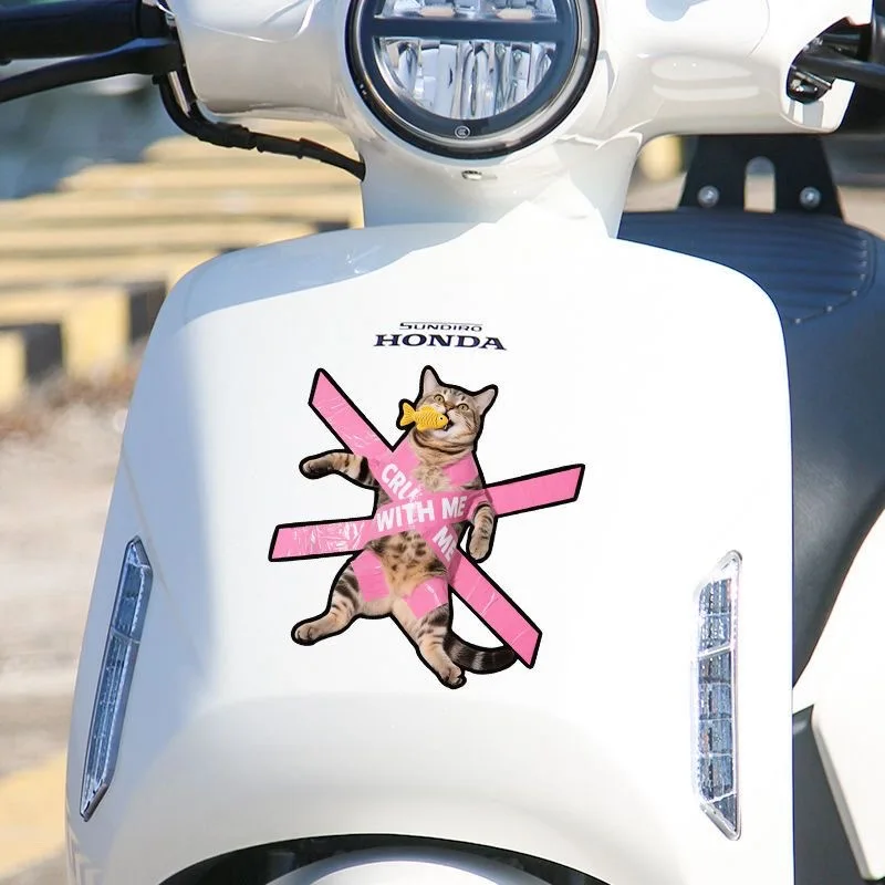 Pegatinas creativas impermeables para gatos – en coches y motos - imagen 2