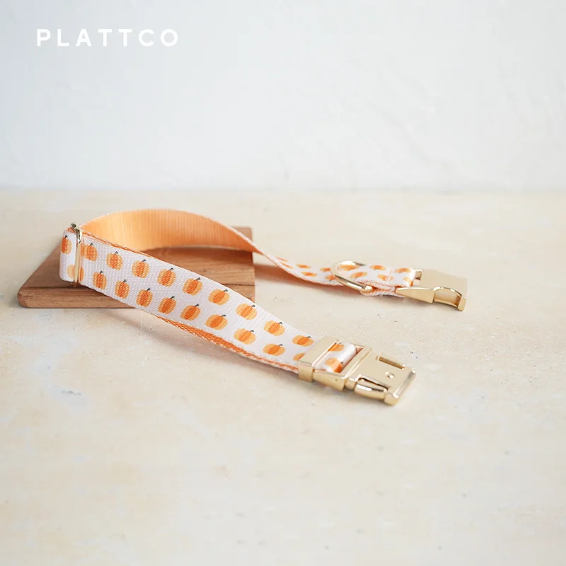 PLATTCO Pack collar y correa con estampado de calabaza para perro - imagen 4