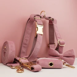 Conjunto collar y correa de pana para perro con placa grabada