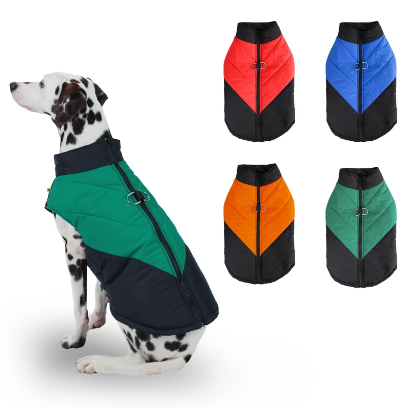 Consejos de compra - Guía de elección