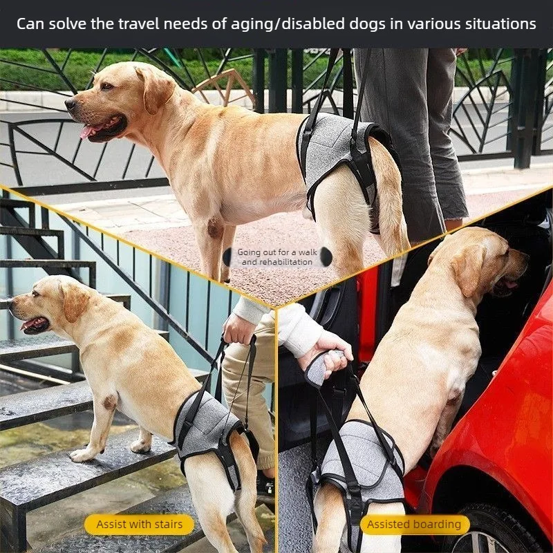 Arnés para soporte patas traseras en perro – Asistente de movilidad - imagen 3