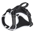 Black Dog Harness