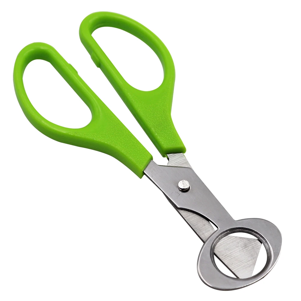 Tijeras de acero inoxidable para cortar huevos de codorniz, herramienta de cocina, 10 piezas - imagen 3