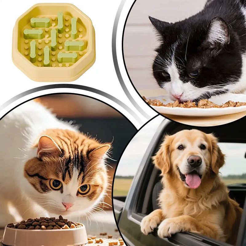 Cuenco de comida lenta para mascotas, cuenco de comida lenta antiasfixia para perros, cuenco de comida lenta ajustable para gatos, antideslizante, antideslizante - imagen 5