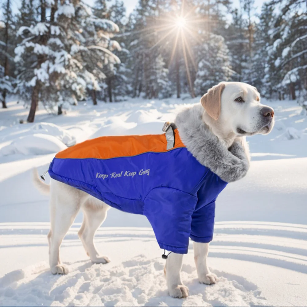 Ropa gruesa y cálida para perros, abrigo reflectante de invierno, chaqueta, ropa suave para mascotas con Cuello de piel, impermeable para perros medianos y grandes - imagen 2