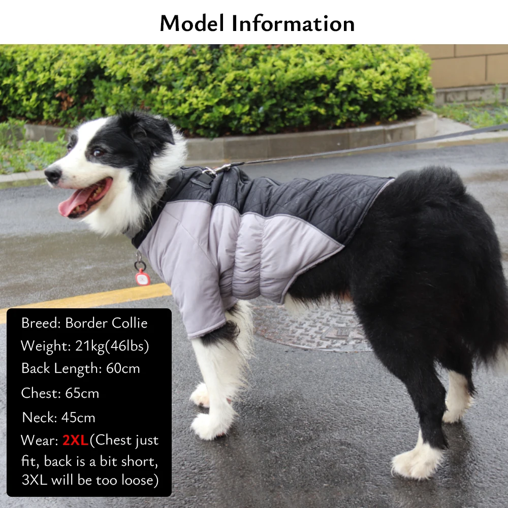 Chaquetas de invierno para perros, abrigo cálido reflectante impermeable para mascotas para perros pequeños y grandes, traje elástico para perros con anillo en D para correa - imagen 3