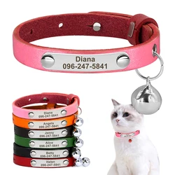 Collar identificativo para gato con placa personalizada