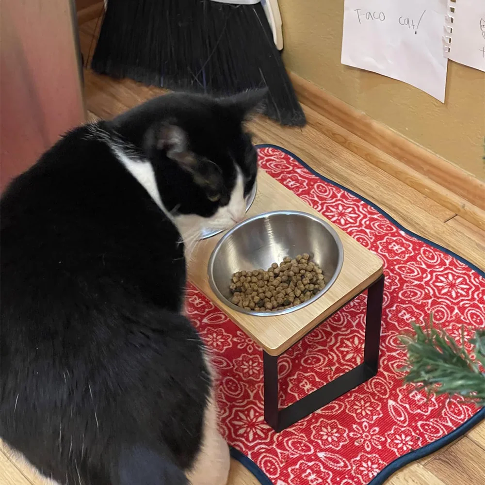 Cuencos inclinados 15° para gatos y cachorros – Acero inoxidable - imagen 4