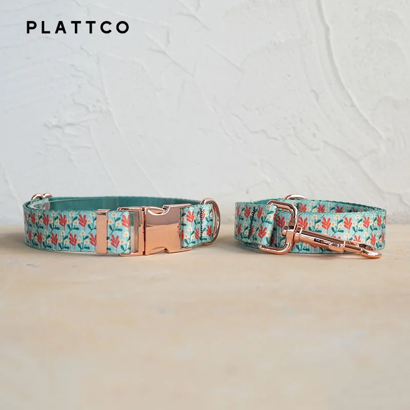 Dog Collar Leash Set