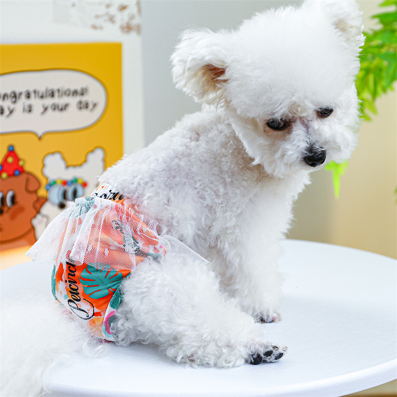 Pantalones Fisiológicos - Uso en Chihuahua