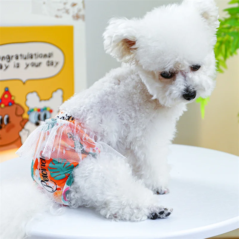 Pantalones fisiológicos para cachorros y perros pequeños, calzoncillos menstruales para mascotas, Chihuahua, Yorkshire, caniche, Mascotas, productos - imagen 4