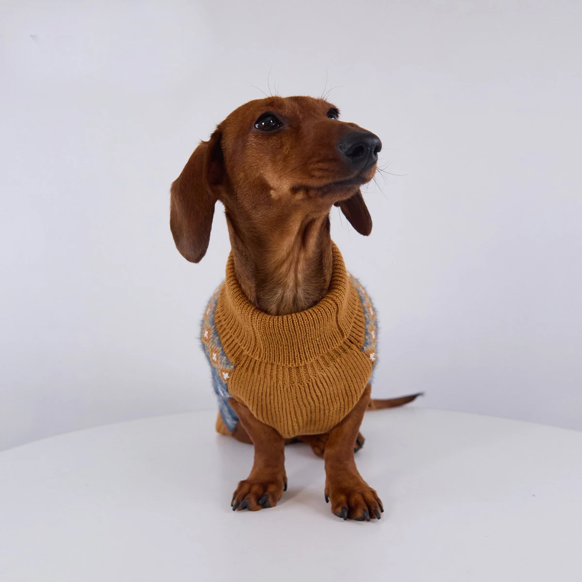 Suéter bohemio tejido a mano para perro salchicha pequeño mediano - imagen 3